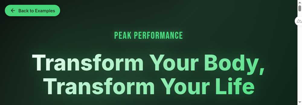 Screenshot of Peak Performance Personal Training